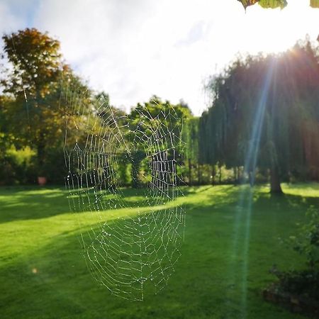 Gite Du Chateau D'Hardelot A Condette Eksteriør billede